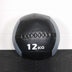 Wall Ball PRO Color 12kg