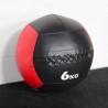Wall Ball PRO Color 6kg