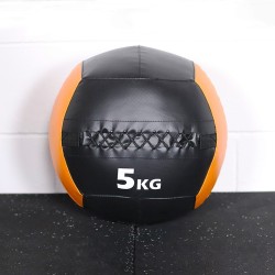 Wall Ball PRO Color 5kg